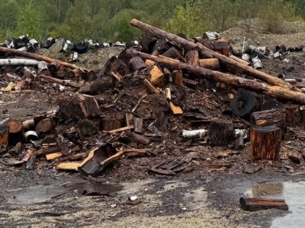 Нерадивые лесозаготовители едва не довели до беды в ЕАО