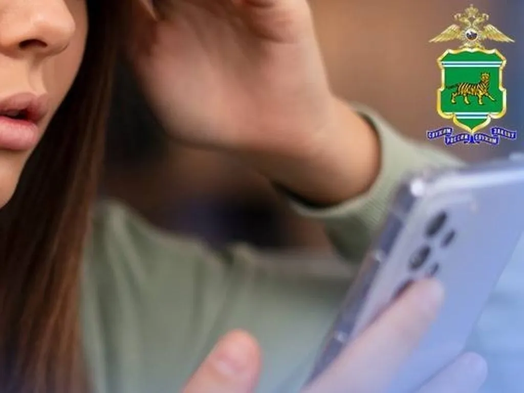 Попытка заработка на маркетплейсе обернулась потерей денег для жительницы ЕАО